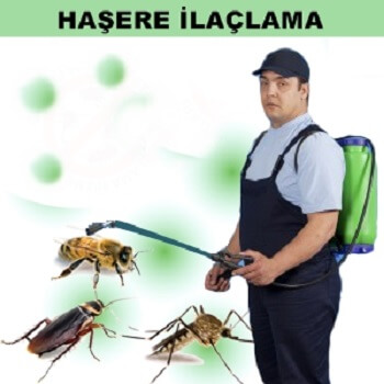 Karacasu Böcek İlaçlama